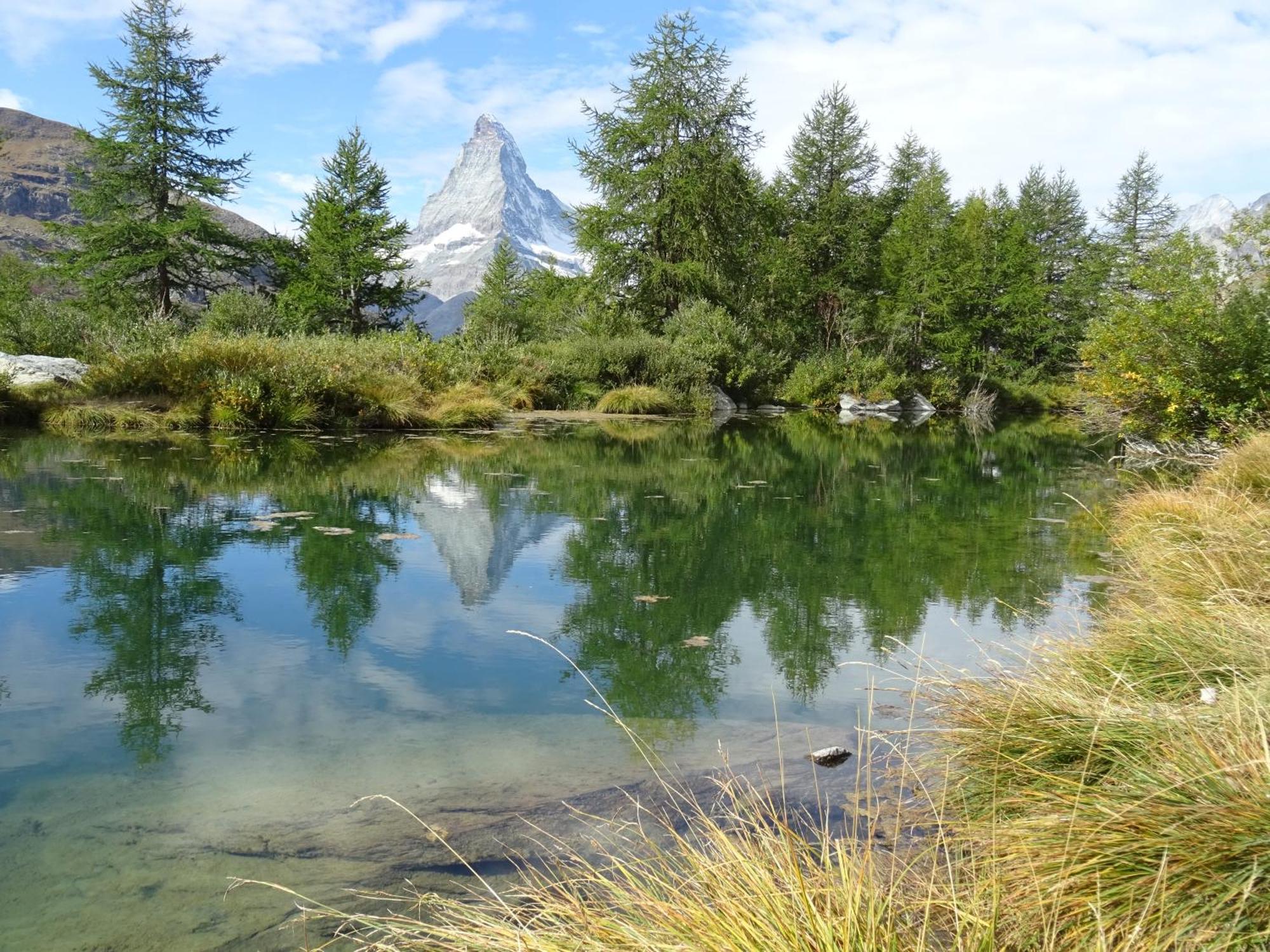 Hotel Phoenix Zermatt Bagian luar foto