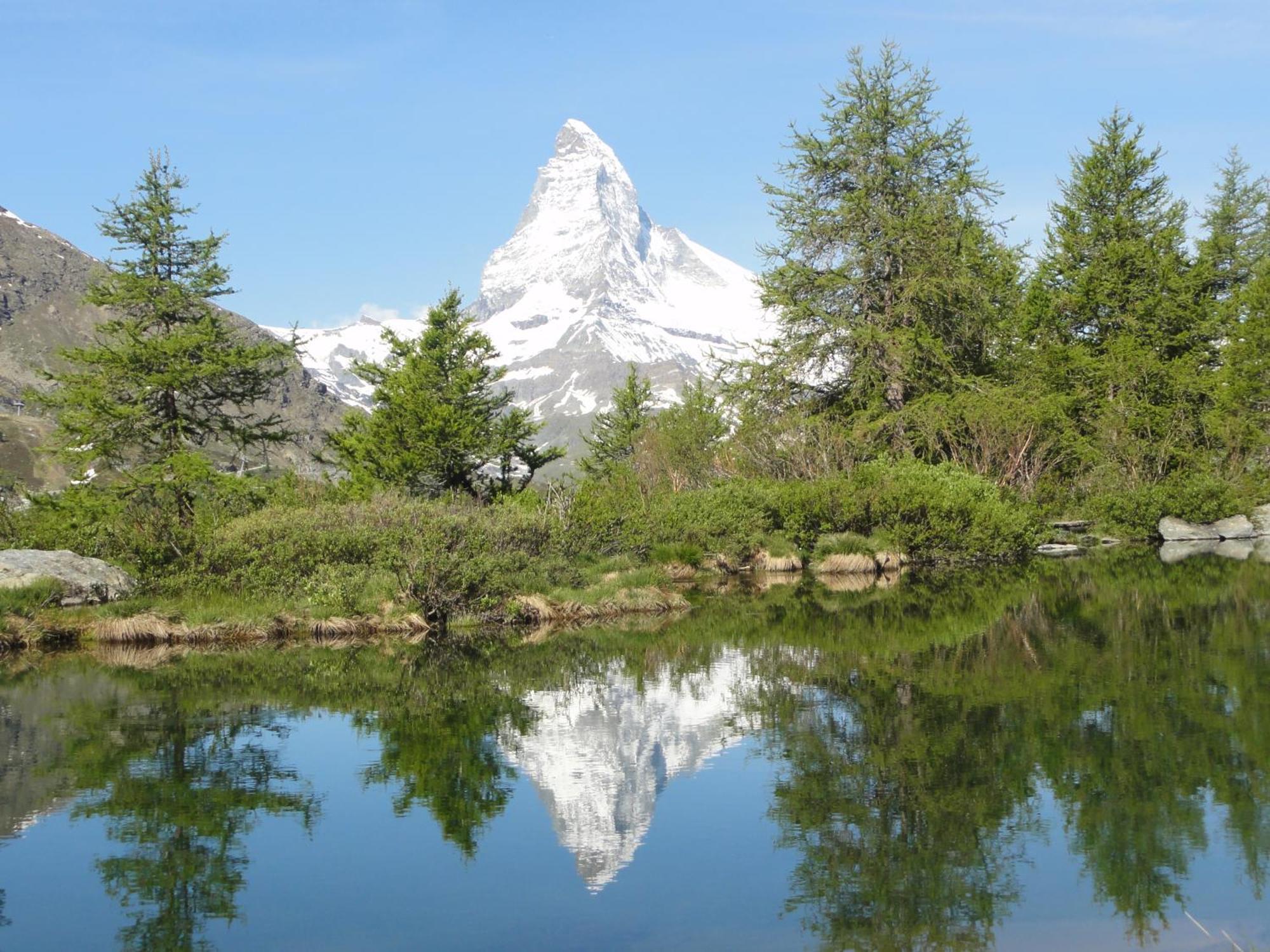 Hotel Phoenix Zermatt Bagian luar foto